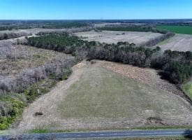 64+/- Acres of Farm and Timber Land For Sale in Scotland County, NC!