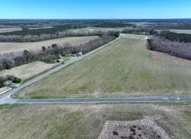 64+/- Acres of Farm and Timber Land For Sale in Scotland County, NC!