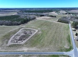 39+/- Acres of Farm and Timber Land For Sale in Scotland County, NC!