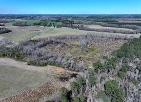 64+/- Acres of Farm and Timber Land For Sale in Scotland County, NC!