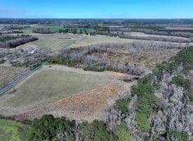 64+/- Acres of Farm and Timber Land For Sale in Scotland County, NC!