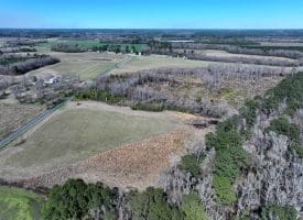 39+/- Acres of Farm and Timber Land For Sale in Scotland County, NC!