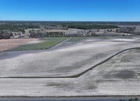 75+/- Acres of Farm Land For Sale in Bladen County, NC!