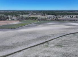 75+/- Acres of Farm Land For Sale in Bladen County, NC!