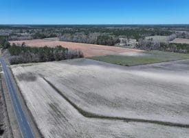 75+/- Acres of Farm Land For Sale in Bladen County, NC!