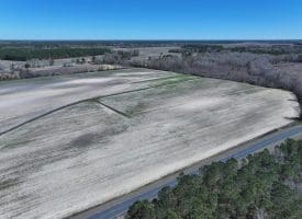 75+/- Acres of Farm Land For Sale in Bladen County, NC!