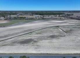 75+/- Acres of Farm Land For Sale in Bladen County, NC!