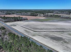 75+/- Acres of Farm Land For Sale in Bladen County, NC!