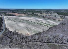 75+/- Acres of Farm Land For Sale in Bladen County, NC!