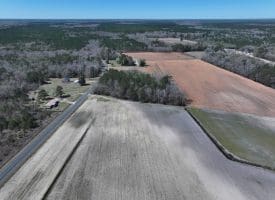 75+/- Acres of Farm Land For Sale in Bladen County, NC!