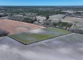 75+/- Acres of Farm Land For Sale in Bladen County, NC!