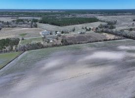 75+/- Acres of Farm Land For Sale in Bladen County, NC!