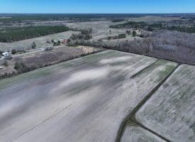 75+/- Acres of Farm Land For Sale in Bladen County, NC!