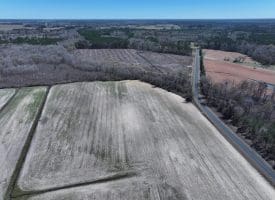 75+/- Acres of Farm Land For Sale in Bladen County, NC!