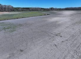 75+/- Acres of Farm Land For Sale in Bladen County, NC!