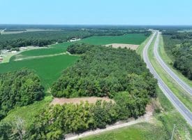 16+/- Acres of Farm and Development Land For Sale in Robeson County, NC!