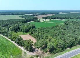 16+/- Acres of Farm and Development Land For Sale in Robeson County, NC!
