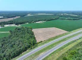 16+/- Acres of Farm and Development Land For Sale in Robeson County, NC!
