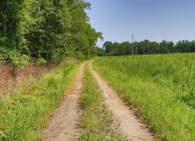16+/- Acres of Farm and Development Land For Sale in Robeson County, NC!