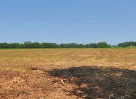 16+/- Acres of Farm and Development Land For Sale in Robeson County, NC!