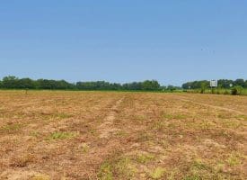 16+/- Acres of Farm and Development Land For Sale in Robeson County, NC!