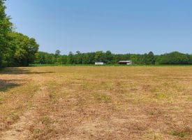 16+/- Acres of Farm and Development Land For Sale in Robeson County, NC!