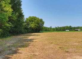 16+/- Acres of Farm and Development Land For Sale in Robeson County, NC!