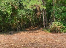 16+/- Acres of Farm and Development Land For Sale in Robeson County, NC!