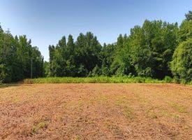 16+/- Acres of Farm and Development Land For Sale in Robeson County, NC!