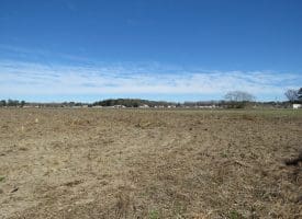27+/- Acres of Farm and Development Land For Sale in Robeson County, NC!