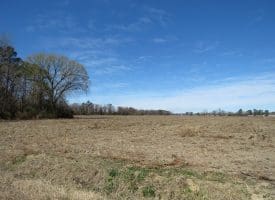 27+/- Acres of Farm and Development Land For Sale in Robeson County, NC!