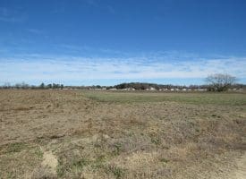 27+/- Acres of Farm and Development Land For Sale in Robeson County, NC!