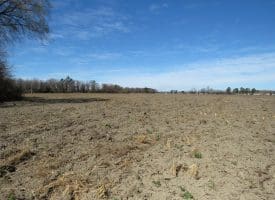 27+/- Acres of Farm and Development Land For Sale in Robeson County, NC!
