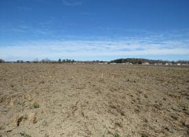27+/- Acres of Farm and Development Land For Sale in Robeson County, NC!