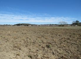 27+/- Acres of Farm and Development Land For Sale in Robeson County, NC!
