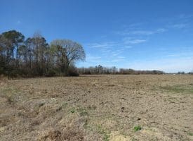 27+/- Acres of Farm and Development Land For Sale in Robeson County, NC!