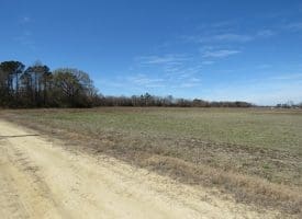 27+/- Acres of Farm and Development Land For Sale in Robeson County, NC!