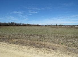 27+/- Acres of Farm and Development Land For Sale in Robeson County, NC!