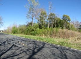 64+/- Acres of Farm and Timber Land For Sale in Scotland County, NC!