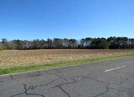 64+/- Acres of Farm and Timber Land For Sale in Scotland County, NC!