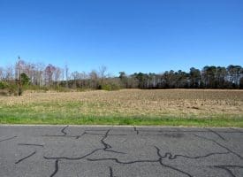 64+/- Acres of Farm and Timber Land For Sale in Scotland County, NC!