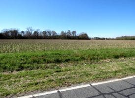 39+/- Acres of Farm and Timber Land For Sale in Scotland County, NC!