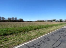 39+/- Acres of Farm and Timber Land For Sale in Scotland County, NC!