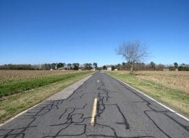 39+/- Acres of Farm and Timber Land For Sale in Scotland County, NC!