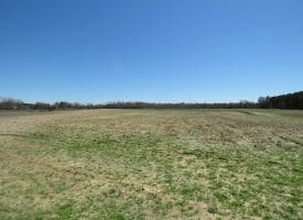 75+/- Acres of Farm Land For Sale in Bladen County, NC!