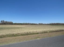 75+/- Acres of Farm Land For Sale in Bladen County, NC!