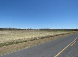 75+/- Acres of Farm Land For Sale in Bladen County, NC!