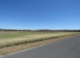 75+/- Acres of Farm Land For Sale in Bladen County, NC!