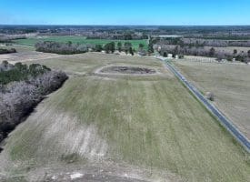 39+/- Acres of Farm and Timber Land For Sale in Scotland County, NC!