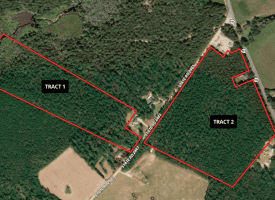 11+/- Acres of Residential and Timber Land For Sale in Robeson County NC!
